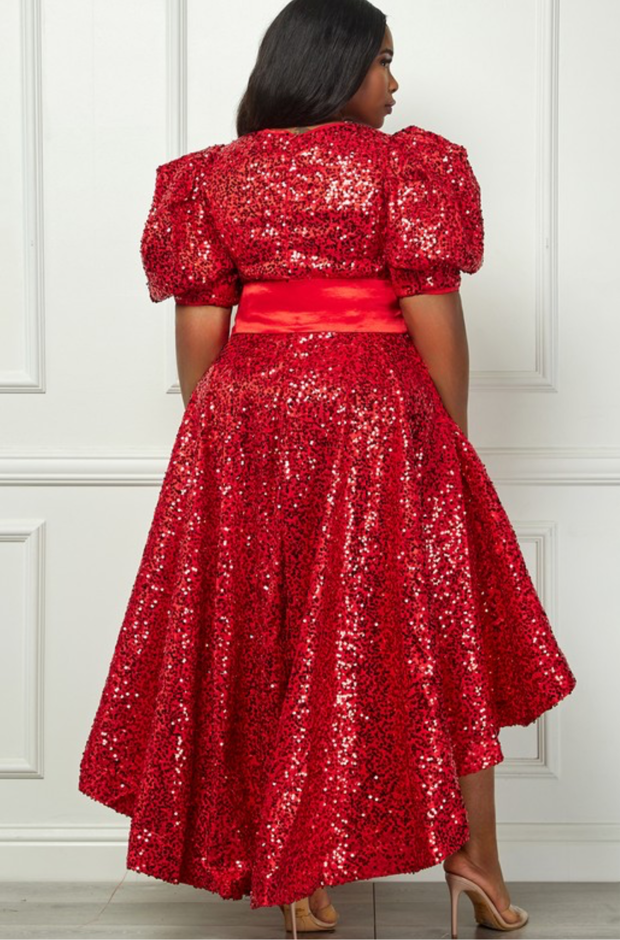 Sequin Puff Half Sleeve Waist Tie Flare Hilo Dress