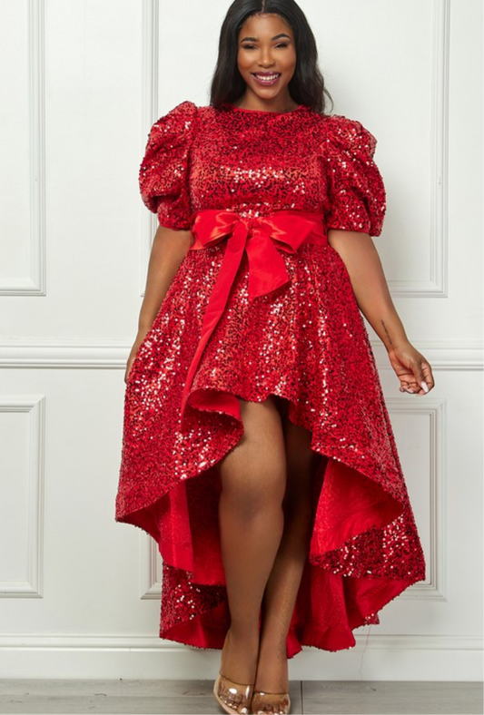 Sequin Puff Half Sleeve Waist Tie Flare Hilo Dress