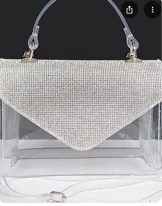 Transparent Rhinestone Purse_Silver