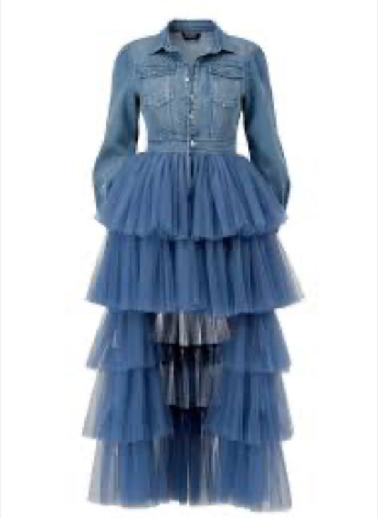Get It Girl Denim Tulle Dress